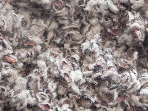 Cottonseed Meal Pellets