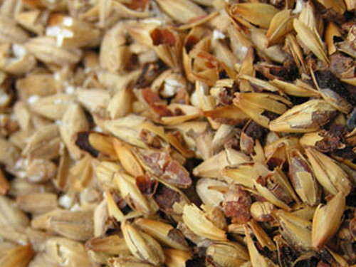 Dried Distillers Grains With Solubles