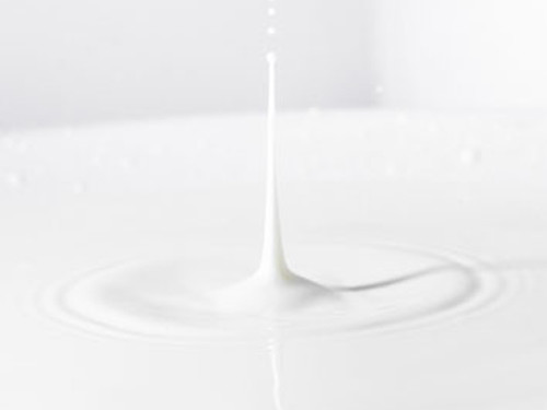 Full Cream Milk Power