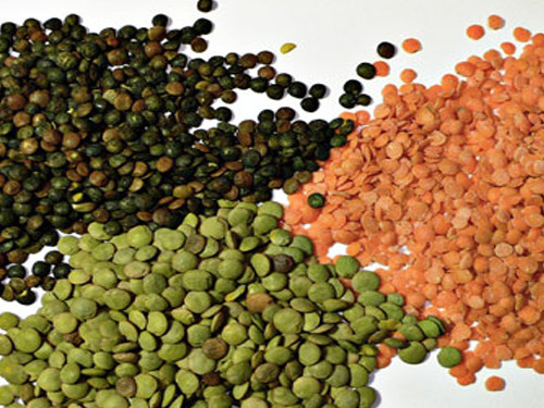 Red & Green lentils