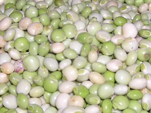 Chick Peas / Pigeon Peas