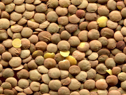 Soybean meal